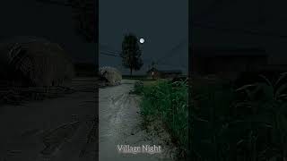 Village Night View Nature Sounds Night Soundsshorts [upl. by Nnairam]