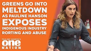 Greens MELTDOWN As Pauline Hanson Exposes Indigenous Industry Rorting and Abuse [upl. by Adnolehs]