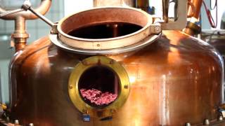 Distillazione vinacce di Amarone  Distilleria Marzadro [upl. by Drofnil217]