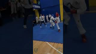 3er Open Rosario Taekwondo ITF taekwondo tkd taekwondoitf martialarts karate kicks trending [upl. by Sholes]