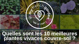 Quelles sont les 10 meilleures plantes vivaces couvresol [upl. by Martinelli]