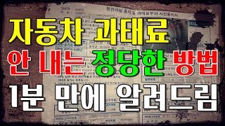 자동차 과태료 범칙금 무조건 내지 마세요 억울하다 잘못이 없다면 이 방법이면 과태료 안내도 됩니다 [upl. by Arabeila]