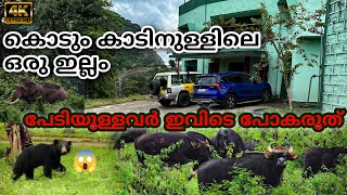 കൊടുംകാടിനുള്ളിലെ ഒരു ഇല്ലം AMBULLI ILLAM Anamalai tiger reserveTopslipsloth bear parambikulam [upl. by Obe]