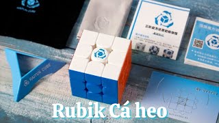 Review Haitun Waverider v1 Rubik cá heo [upl. by Mafalda229]