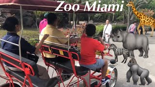 Zoo Miami Safari Cycling [upl. by Persis128]