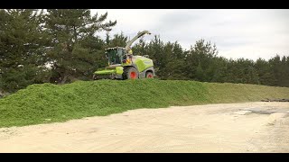 Working in New Zealand 1920 silage season [upl. by Sol]