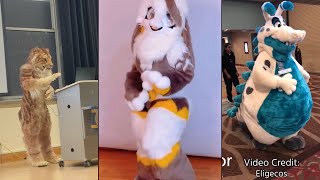 🐱 Furry Memes  Dino Mask TikToks Compilation [upl. by Atirahc]