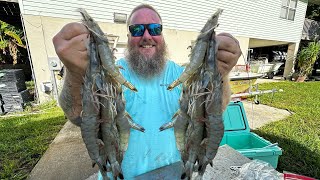 Catching HUGE SHRIMP in my CASTNET Shrimp n Grits  CASTNET CLEAN COOK [upl. by Willmert]