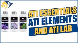 ATI Essentials ATI Elements and ATI Lab  What YOU Need to Know [upl. by Marten]