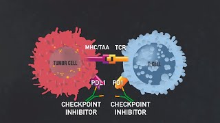 Introduction to Immunotherapy Immunotherapy Documentary Part I [upl. by Sidoma]