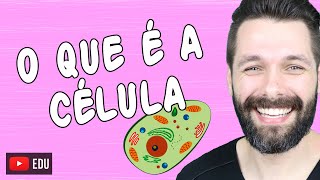 O QUE É A CÉLULA  Biologia com Samuel Cunha [upl. by Bertina82]