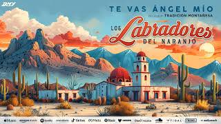 Los Labradores Del Naranjo  Te Vas Ángel Mío Audio Oficial [upl. by Attekahs]