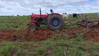 gradiando a terra com o trator Massey Ferguson 65x [upl. by Mabel]