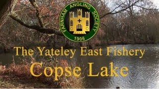 Farnham Angling Society Yateley East Copse Lake Carp Fishery [upl. by Reywas]