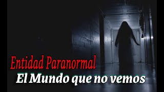 Entidad Paranormal [upl. by Eshman]