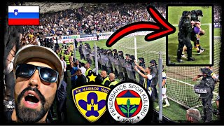 Slovenyada🇸🇮OLAYLI MAÇ 🤯 STATTAN ATILDIK 🤬  NK Maribor vs Fenerbahçe fenerbahçe maribor [upl. by Reffotsirhc]