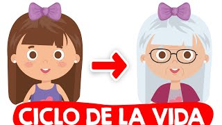 ¿CUÁL ES EL CICLO DE LA VIDA de los SERES VIVOS👶⏩👦⏩👨⏩👴 Resumen del Ciclo de la Vida para niños🐣⏩🐥⏩🐓 [upl. by Sdlonyer415]