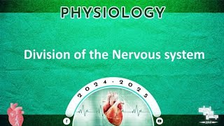 MCQs of L3 Divisions of nervous system  Physiology [upl. by Eiruam557]