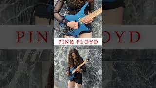 PINK FLOYD  THE WALL SOLO [upl. by Adnahsam]