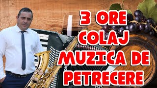 3 ORE COLAJ MUZICA DE PETRECERE NOU PROGRAM SARBE SI HORE COLAJ 3 ORE DE MUZICA 2021 [upl. by Dory744]