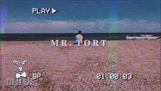 The Motans  Mr Tort  Videoclip Oficial [upl. by Blim]