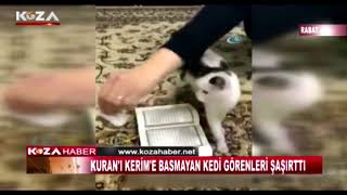 KURANI KERİME BASMAYAN KEDİ GÖRENLERİ ŞAŞIRTTI [upl. by Leonteen590]