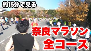 【奈良マラソン】約15分で見る全コース動画【予習・復習】 [upl. by Lyrehc417]