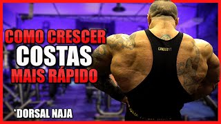 COMO CRESCER COSTAS MAIS RÁPIDO TREINO COMPLETO [upl. by Itnahsa]