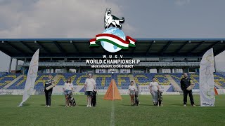 WUSV World Championship 2023 [upl. by Noiro735]