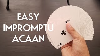 EASY IMPROMPTU ACAAN PigCake Tutorials [upl. by Loomis]