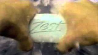 Zest quotZestfully Cleanquot commercial  1990 [upl. by Chance]