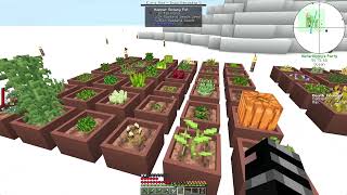 Minecraft Cuboid Outpost 1201  Day 16 [upl. by Eelirol]