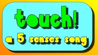 Touch A Five Senses Song [upl. by Arabella]