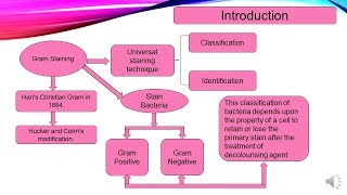 Gram Staining Technique in Hindi  Microbiology with Sumi [upl. by Ybbil]