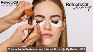 Coloração de Pestanas com Intense Browns By RefectoCil® [upl. by Heman296]