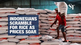 As prices soar Indonesians scramble for rice [upl. by Baggs]