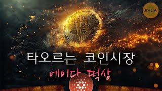 비트코인 연일 신고가 2024년 연말 종가는 결국 에이다도 간다 [upl. by Mcwilliams]