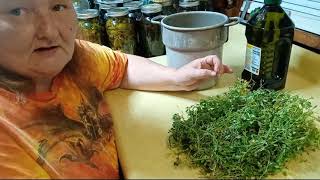 Making A Mother Of Thyme Infused Oil [upl. by Job316]