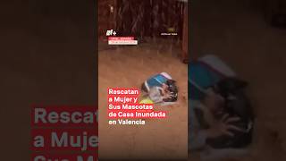 Rescatan a mujer y a sus mascotas de casa inundada en Valencia nmas valencia inundación shorts [upl. by Orlena]