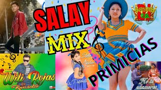 salay miX abril primicias DJ DEYVID VM [upl. by Lankton954]