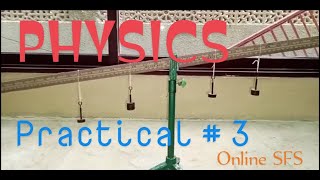 Principle of Moments  Torque Physics  Practical  3  Class 9  Online SFS [upl. by Ozneral702]