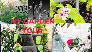 Garden Tour May 2024 vegetable garden veggies growingFlower garden [upl. by Retsbew]