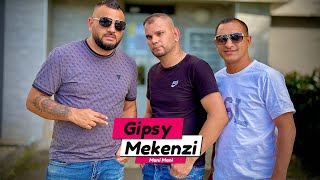 GIPSY MEKENZI  Mani Mani Na zelanie Cover [upl. by Redford]