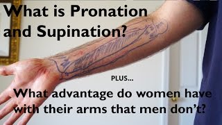 What is Pronation and Supination of the Forearm [upl. by Aiuqenehs]