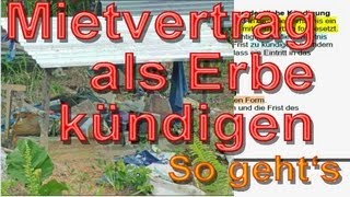 Als Erbe wirksam Mietvertrag kündigen § 564 BGB  So gehts  Mustertext  Immobooksde [upl. by Anovad]