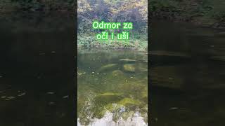 ODMOR ZA OČI I UŠI 🐟 [upl. by Piers911]