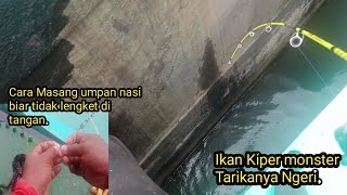 Mancing Cuma Pakai Nasi campur minyak gorengDapat IKAN Kiper monster [upl. by Uria]