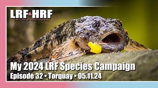 Episode 32 My 2024 LRF Species Hunt  Devon Cornwall amp Wiltshire [upl. by Fonseca]