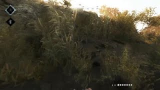 T pose hunt showdown [upl. by Ginnifer]