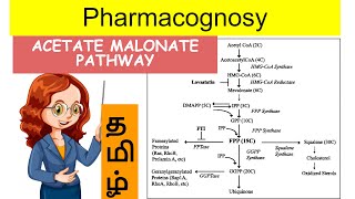 acetate malonate pathway  pharmacognosy2  Unit 1  tamil [upl. by Mulloy]